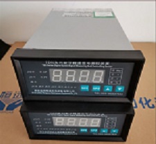 Digital speed s...