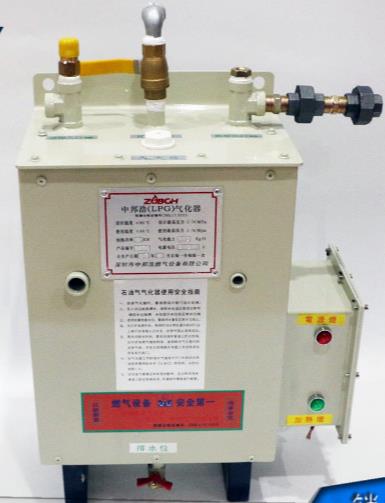 Gasifier ZPEX-1...