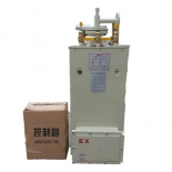 CPEX gasifier