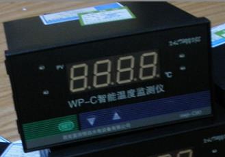 WP-C80-220V-PT100