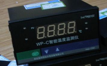 WP-C80-220V-PT100 