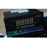 WP-C80-220V-PT100 